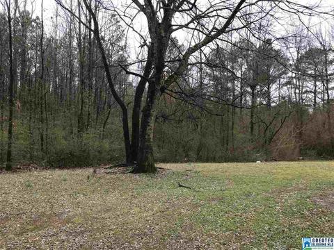 9236 Central Rd, Warrior, AL 35180 photo 10