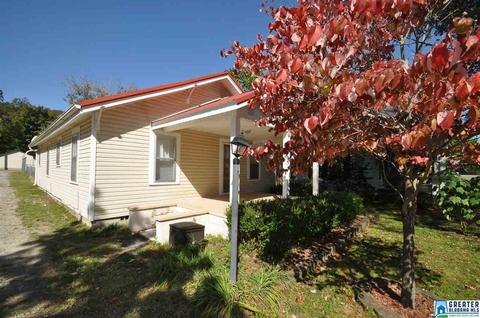 208 4th Ave E, Oneonta, AL 35121 photo 4