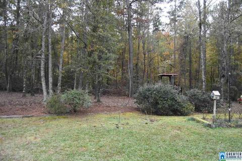 1580 Collins Rd, Ohatchee, AL 36271 photo 49