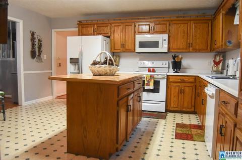 1580 Collins Rd, Ohatchee, AL 36271 photo 42