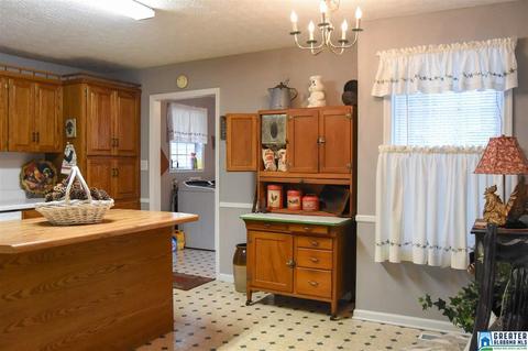 1580 Collins Rd, Ohatchee, AL 36271 photo 43