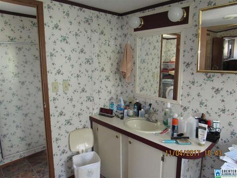 52 County Road 607, Clanton, AL 35046 photo 18