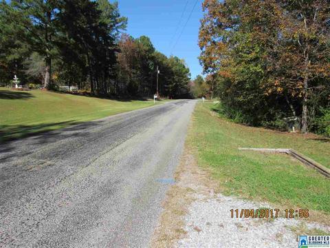 52 County Road 607, Clanton, AL 35046 photo 30