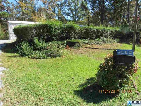 52 County Road 607, Clanton, AL 35046 photo 1