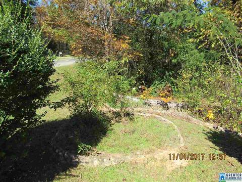 52 County Road 607, Clanton, AL 35046 photo 14