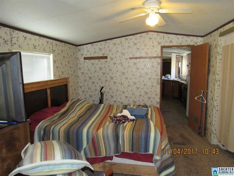 52 County Road 607, Clanton, AL 35046 photo 16