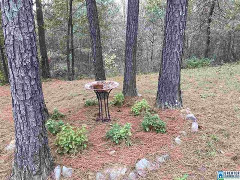 21 Seth Cir, Warrior, AL 35180 photo 25