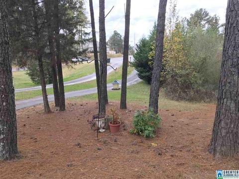 21 Seth Cir, Warrior, AL 35180 photo 24