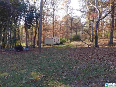 357 Murphrees Valley Rd, Springville, AL 35146 photo 25