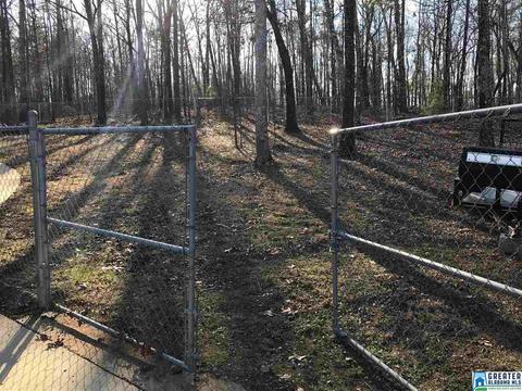 184 Grove Hill Dr, Alabaster, AL 35007 photo 43