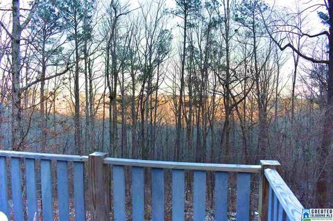 210 Boulder Trl, Warrior, AL 35180 photo 32