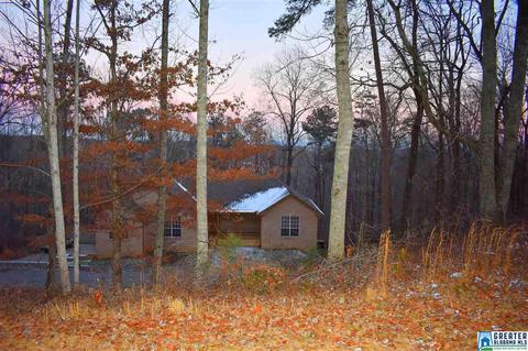 210 Boulder Trl, Warrior, AL 35180 photo 37