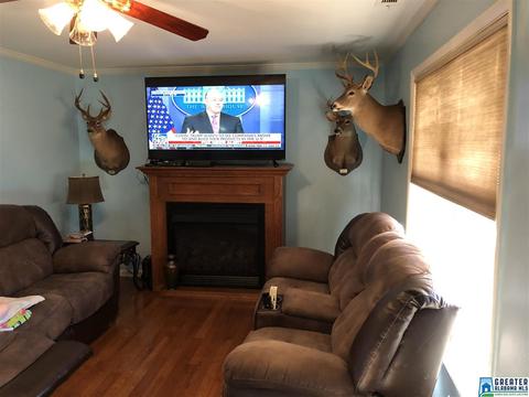 170 Scurlock St, Sumiton, AL 35148 photo 3