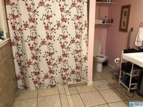 170 Scurlock St, Sumiton, AL 35148 photo 15