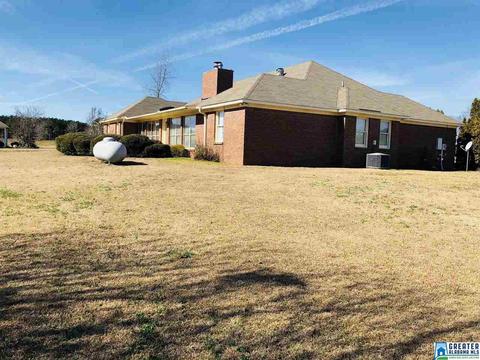 49 County Road 843, Clanton, AL 35045 photo 5