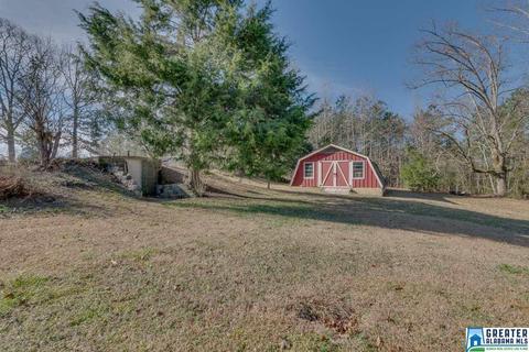 434 County Road 403, Clanton, AL 35045 photo 43