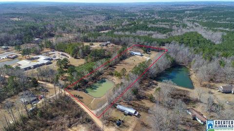 434 County Road 403, Clanton, AL 35045 photo 47
