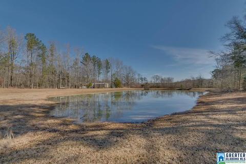 434 County Road 403, Clanton, AL 35045 photo 46