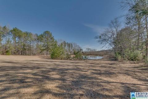 434 County Road 403, Clanton, AL 35045 photo 45