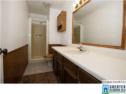 593 Cove Point Dr, Riverside, AL 35135 photo 21