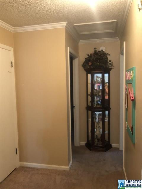 308 Debra Ave, Clanton, AL 35045 photo 12
