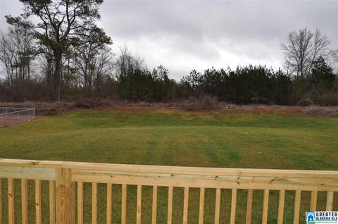 462 Bailey Rd, Weaver, AL 36277 photo 21