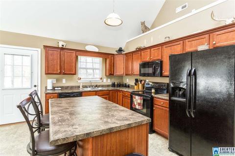 12 Seth Cir, Warrior, AL 35180 photo 11