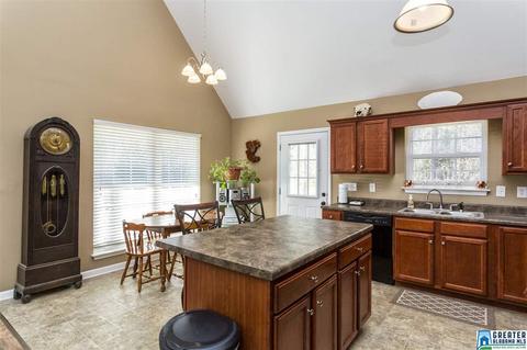 12 Seth Cir, Warrior, AL 35180 photo 14