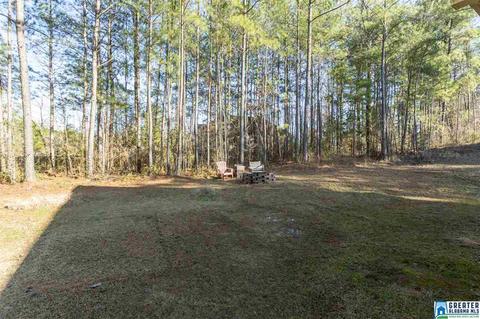 12 Seth Cir, Warrior, AL 35180 photo 28