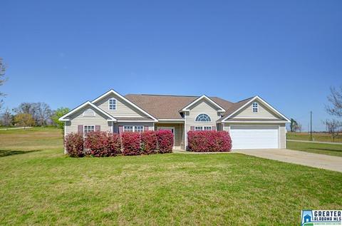 100 County Road 951, Clanton, AL 35045 photo 30