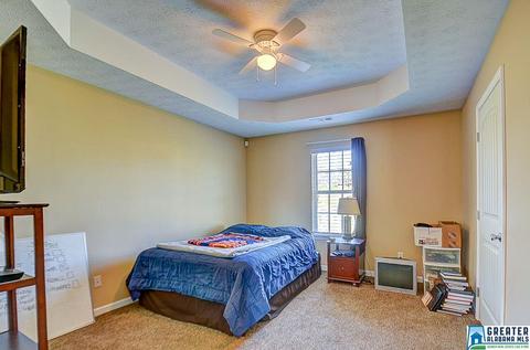 100 County Road 951, Clanton, AL 35045 photo 7