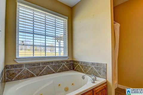 100 County Road 951, Clanton, AL 35045 photo 9