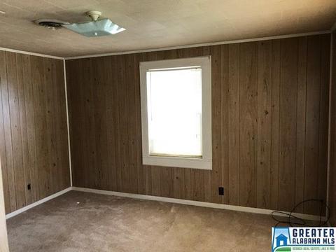 5125 Pope Ave, Steele, AL 35987 photo 3