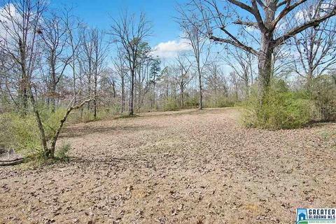 456 Echo Trl, Warrior, AL 35180 photo 14
