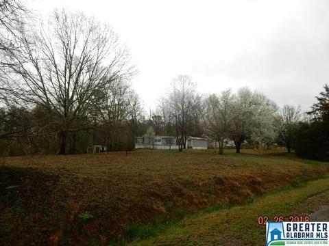 225 Warrior Trl, Hayden, AL 35079 photo 3