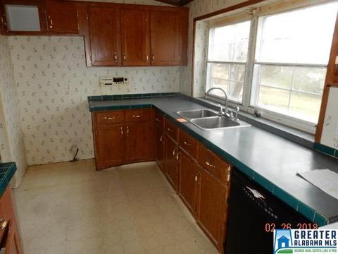 225 Warrior Trl, Hayden, AL 35079 photo 21