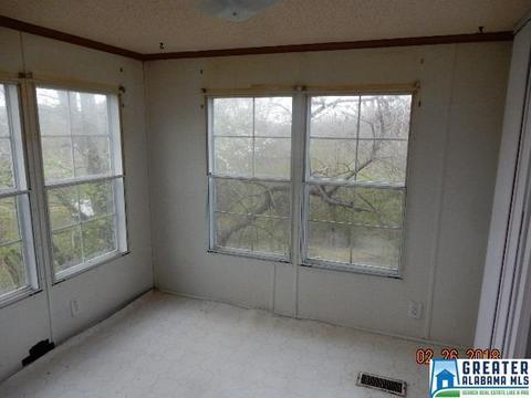 225 Warrior Trl, Hayden, AL 35079 photo 19