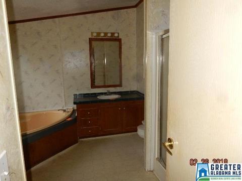 225 Warrior Trl, Hayden, AL 35079 photo 16