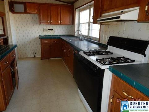 225 Warrior Trl, Hayden, AL 35079 photo 29