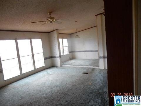225 Warrior Trl, Hayden, AL 35079 photo 12