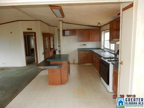 225 Warrior Trl, Hayden, AL 35079 photo 20
