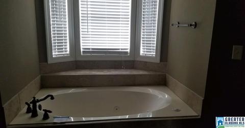 10121 Mize Rd, Remlap, AL 35133 photo 8