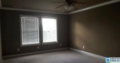 10121 Mize Rd, Remlap, AL 35133 photo 12