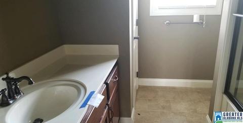 10121 Mize Rd, Remlap, AL 35133 photo 11