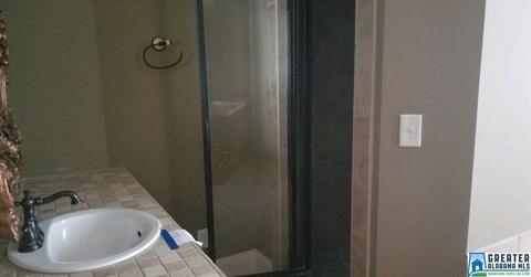 10121 Mize Rd, Remlap, AL 35133 photo 7
