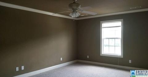 10121 Mize Rd, Remlap, AL 35133 photo 9
