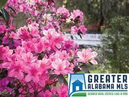 1201 Pinedale Rd, Clanton, AL 35045 photo 3