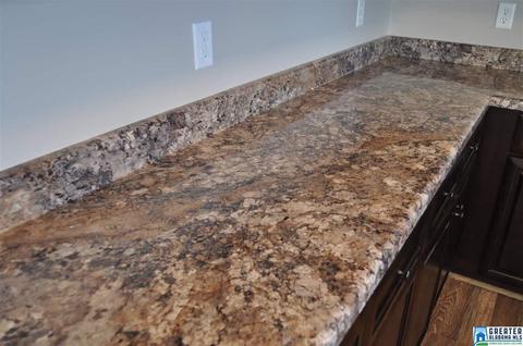 252 Bailey Rd, Weaver, AL 36277 photo 6