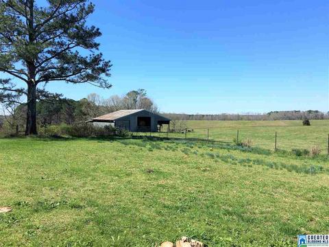 1135 Co Rd 434, Five Points, AL 36855 photo 14