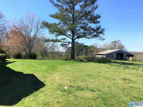 1135 Co Rd 434, Five Points, AL 36855 photo 13